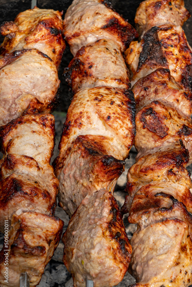 kebab pieces of meat on skewers close-up