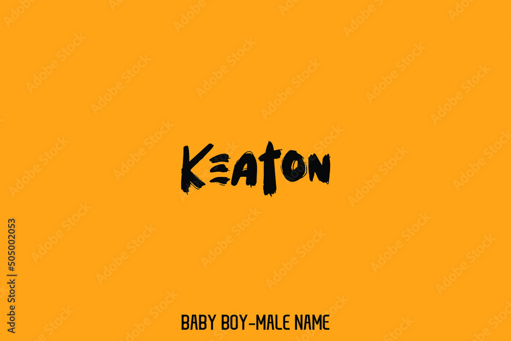 Grunge Brush Text Calligraphic Sign of Baby Boy Name Grunge Brush Text Calligraphic Sign of Baby Boy Name
