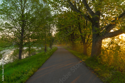 Asphalt path for bikes near Ceske Budejovice city in spring fresh morning © luzkovyvagon.cz