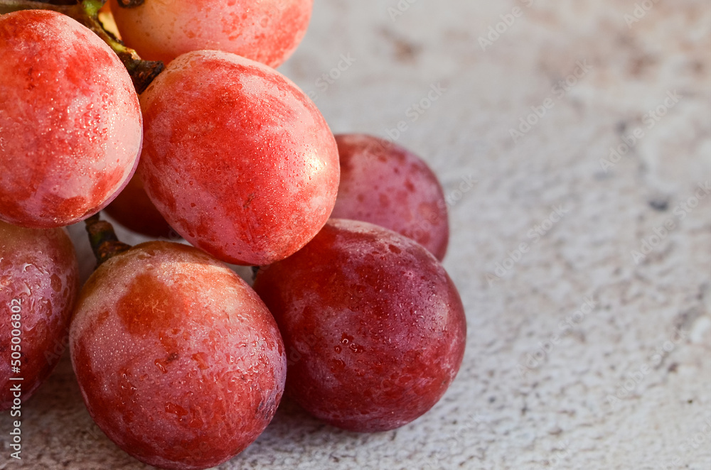 Bunch of grapes. Ripe large grape berries  on an abstract background. Vine.	