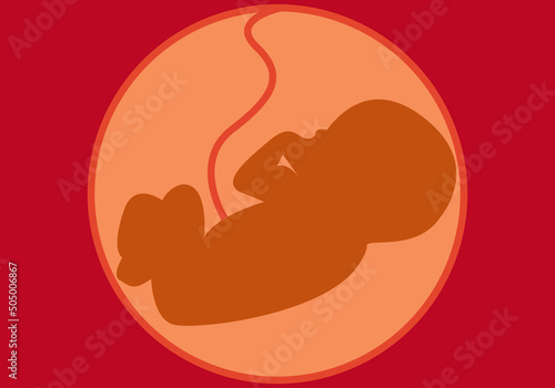 Silueta de bebe en vientre de una mujer. 