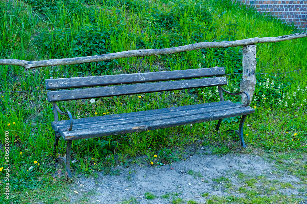 Bench in the summer park with old trees and footpath Bench in the summer park with old trees and footpath