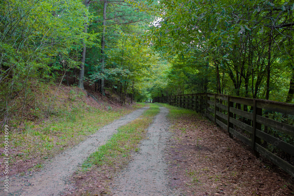 Fototapeta premium The Road