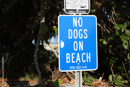 no dogs on the beach sign in treasure island florida  photo