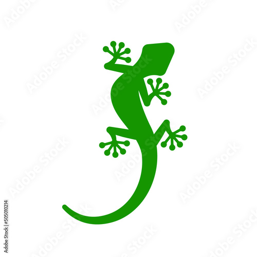 gecko logo icon vector illustration