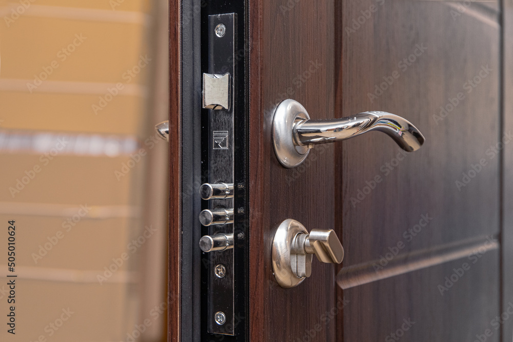 Obraz premium Entrance doors with a lock. Armored. 