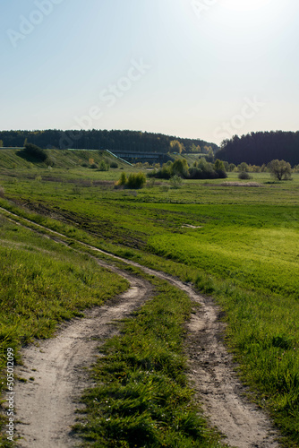 Fototapeta Naklejka Na Ścianę i Meble -  path in the field