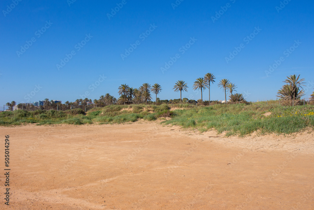 Vega Baja del Segura - Torrevieja - Un oasis junto al mar en Cala Ferris Vega Baja del Segura - Torrevieja - Un oasis junto al mar en Cala Ferris