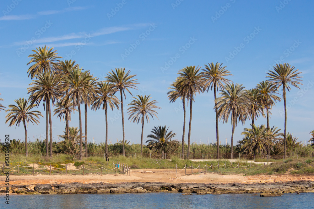 Obraz premium Vega Baja del Segura - Torrevieja - Un oasis junto al mar en Cala Ferris