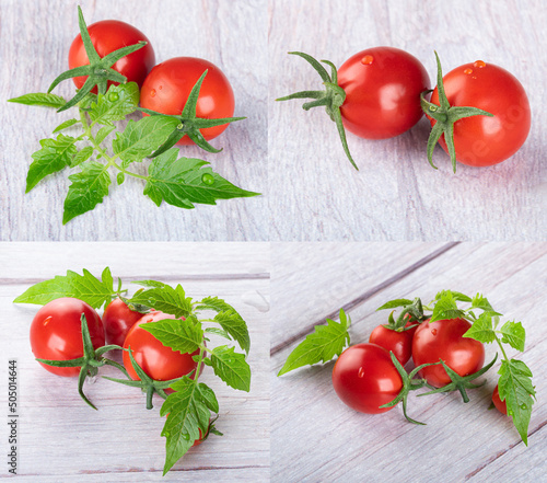 Young beautiful cherry tomatoes on a branch with beautiful young leaves with dew drops on a light wooden background