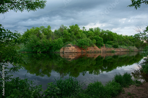 trees at island everywhere