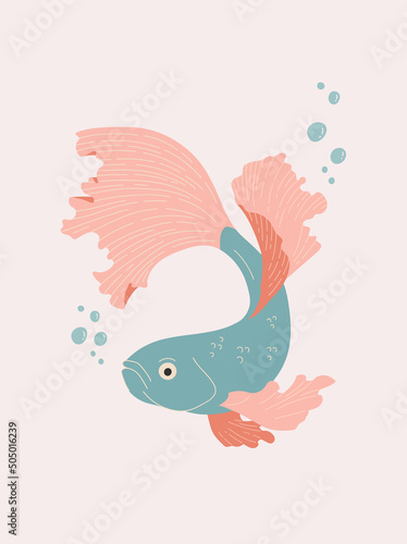 Turquoise and red aquarium betta fish vector illustration. Oriental poster design