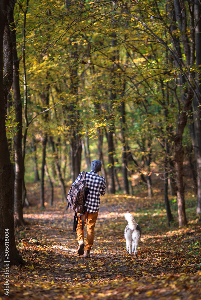 Young man walking with his Siberian husky dog in the middle of the autumn forest. Human and animal friendship concept Young man walking with his Siberian husky dog in the middle of the autumn forest. Human and animal friendship concept