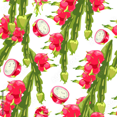 720_dragon fruit plant_dragon fruit seamless pattern of tropical plants, leaves pitaya cactus, exotic vector pattern, Dragon Fruit, Hylocereus, Pitahaya, Pitahaya, Hand drawn pitahaya stem illustratio