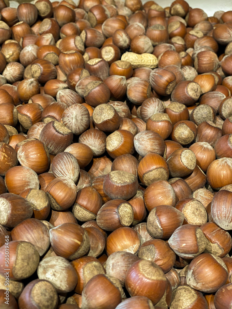 hill of hazelnuts in the shell. Protein, healthy nuts lie on a horizontal surface. hazelnut kernels hill of hazelnuts in the shell. Protein, healthy nuts lie on a horizontal surface. hazelnut kernels