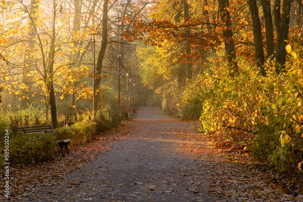 autumn in the park autumn in the park