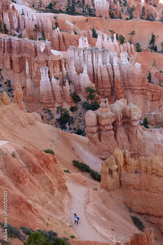 Detail of hoodoos in Bryce Canyon, Utah, United States