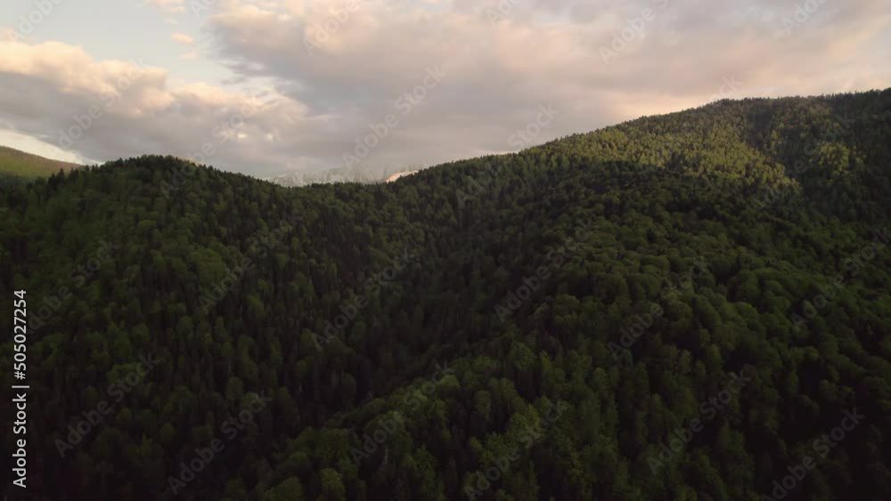 green forest in mountains from drone bird view, sunset, snow
green forest in mountains from drone bird view, sunset, snow