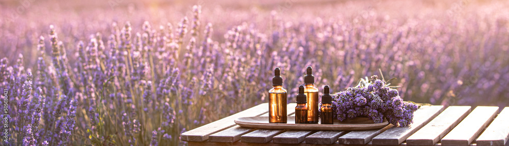 Amber essential lavender oil bottle. Violet lavendar field in Provence. - obrazy, fototapety, plakaty 