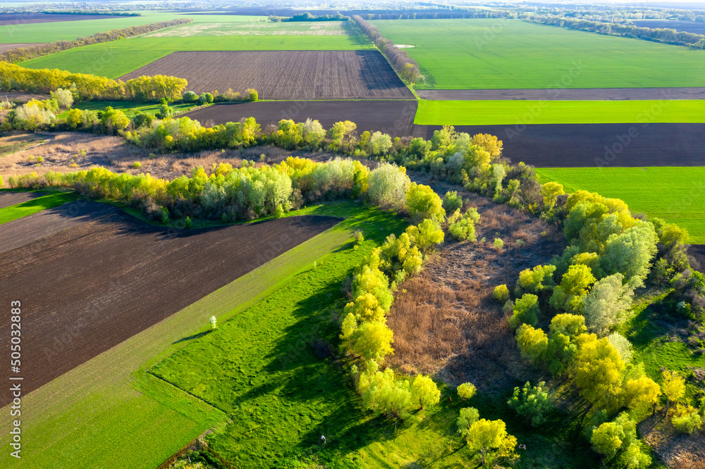 Aerial view to spring green fields, trees and dry river bed - obrazy, fototapety, plakaty 