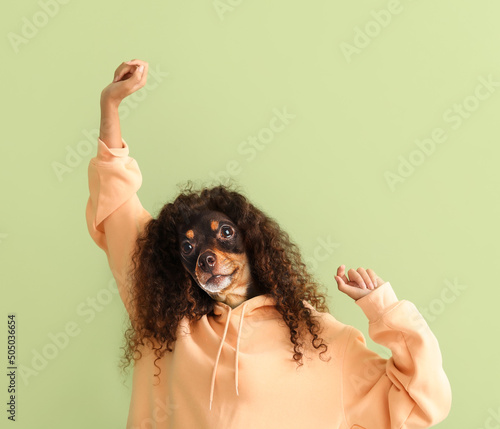 Funny dancing dog with huma...