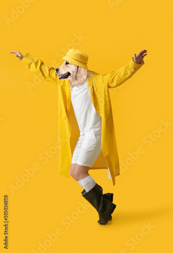 Funny dancing dog with human body in raincoat on yellow background
