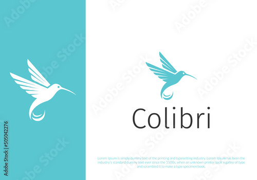 colibri logo design. logo template