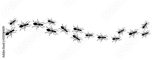 Canvas Ants trail, lines of working ants on white background