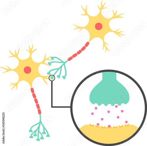 シナプスと神経伝達物質のイメージ photo