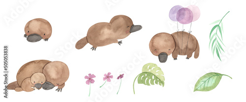 Watercolor platypus, Australian animals. Illustration for kids