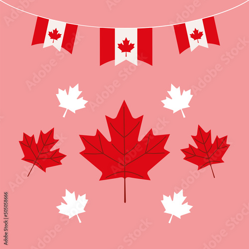 canada day party