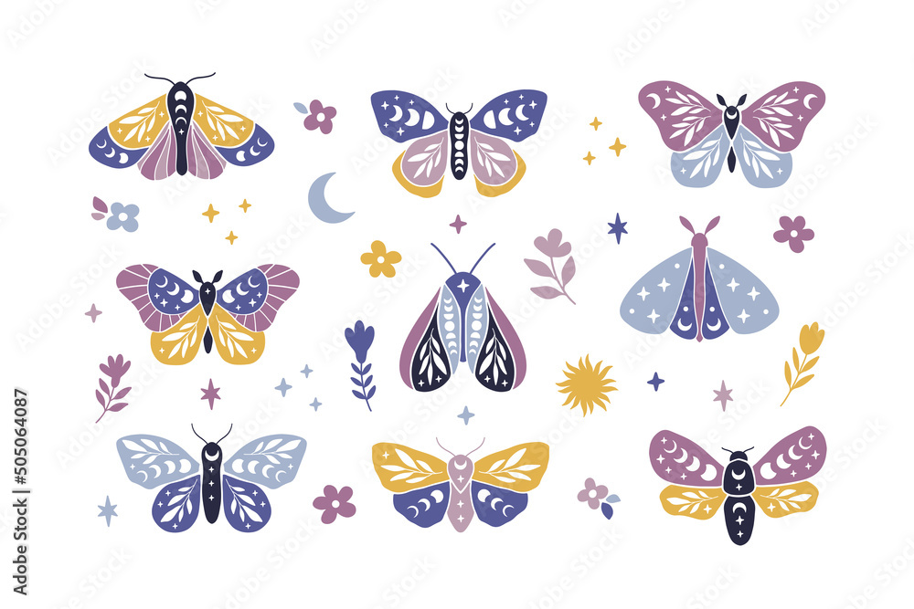 Moon moth vector illustration set. Celestial butterfly with moon phases ...