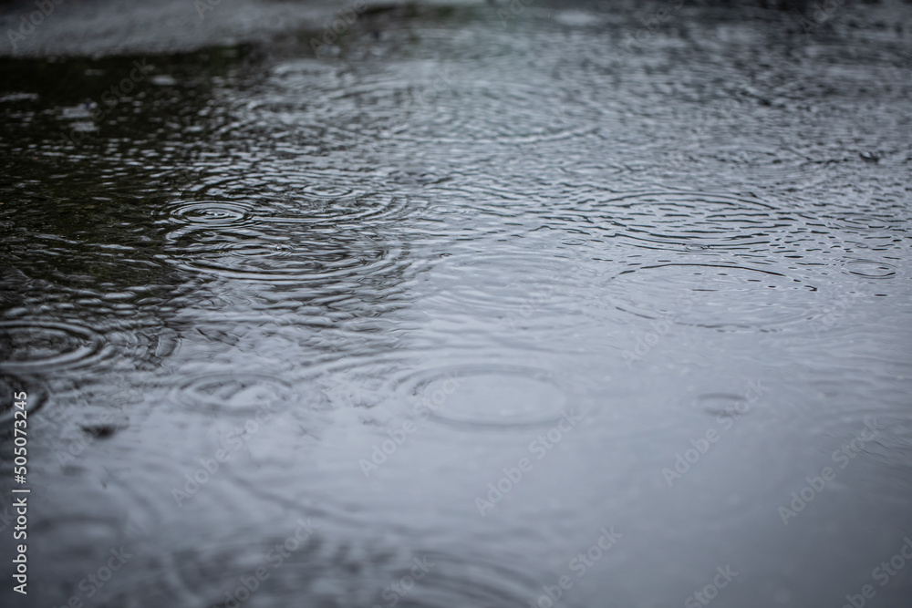 水たまりの波紋 Ripples of a puddle 水たまりの波紋 Ripples of a puddle