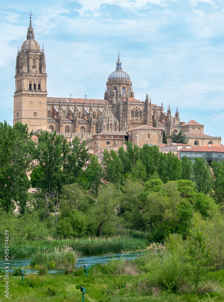 Río Tormes y majestuosa catedral gótica del siglo XVI de Salamanca, España