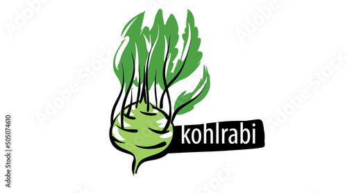 Drawn kohlrabi isolated on a white background