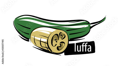 Drawn luffa isolated on a white background