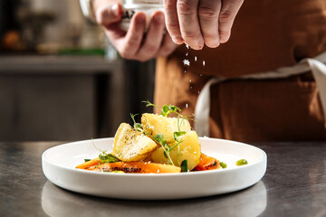 Chef's hand sprinkles cooked gourmet dish with salt