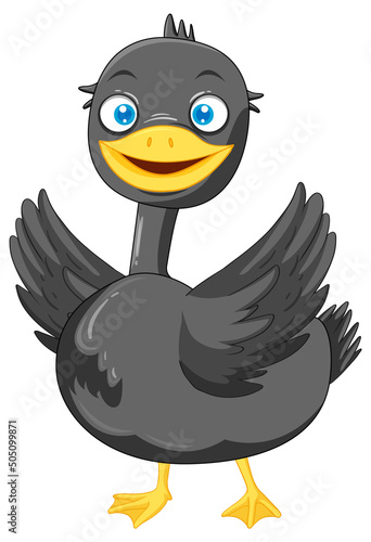 Duck mallard cartoon character