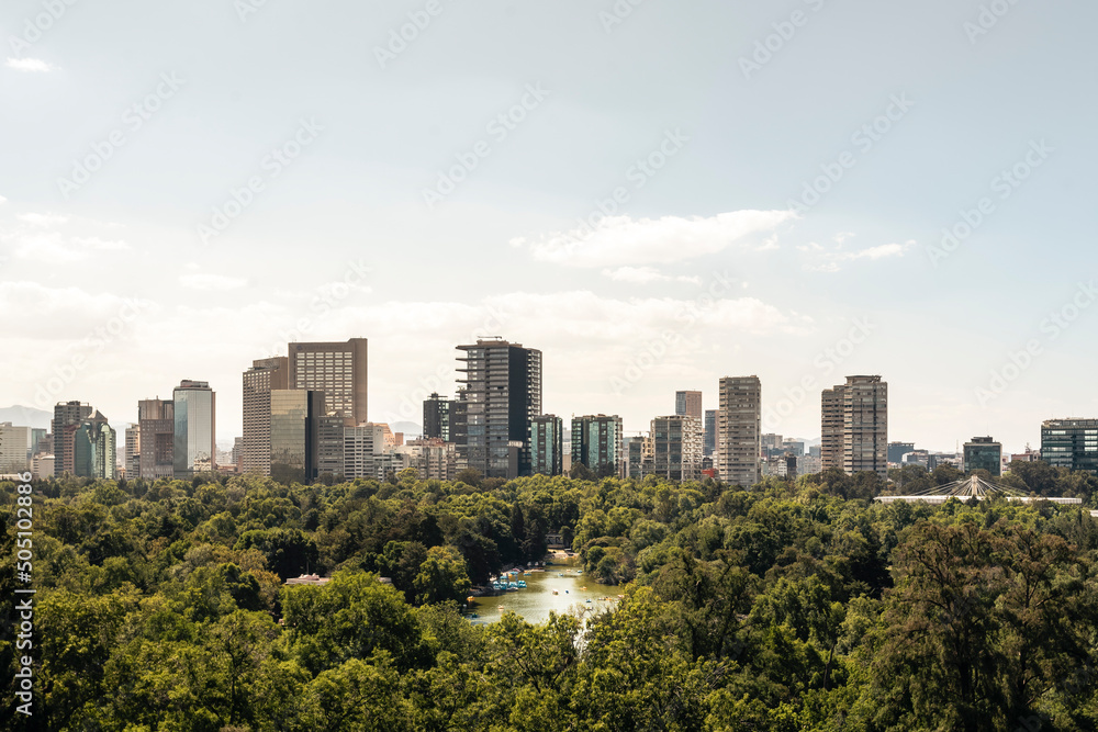 Woods and skyline view of Mexico City, cityscape in daylight at the sunset, background for business or travel concept