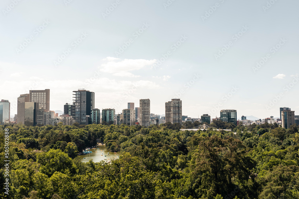 Woods and skyline view of Mexico City, cityscape in daylight at the sunset, background for business or travel concept