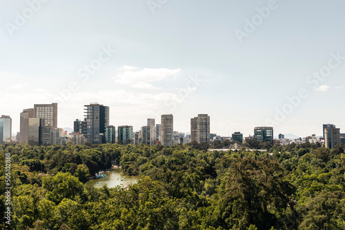 Woods and skyline view of Mexico City  cityscape in daylight at the sunset  background for business or travel concept
