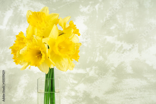 Bouquet of yellow daffodils, narcissus in transparent vase on aged white plaster background with copy space. Mockup, template for holiday, birthday, mother's day on yellow background with copy space
