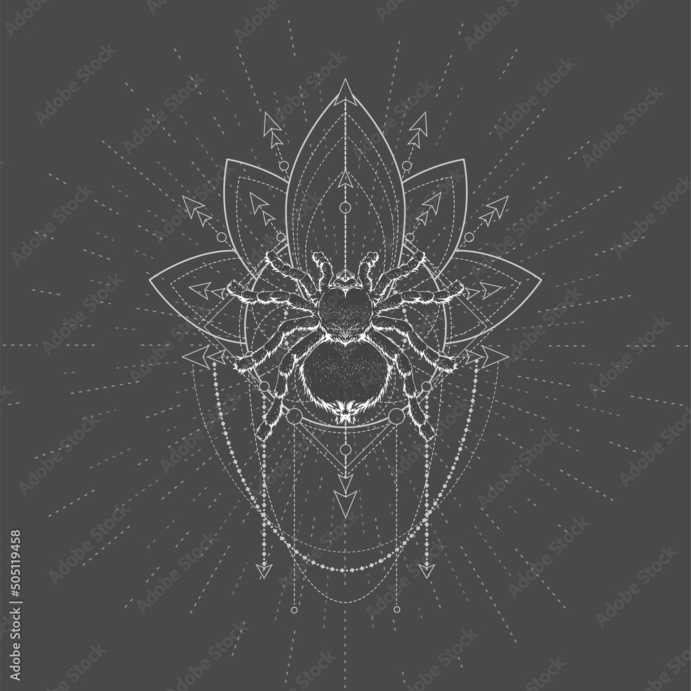 Vector illustration with hand drawn Spider Tarantula and Sacred symbol LOTUS on black background. Abstract mystic sign. White linear shape. Vector illustration with hand drawn Spider Tarantula and Sacred symbol LOTUS on black background. Abstract mystic sign. White linear shape.
