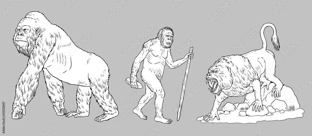 Prehistoric primates gigantopithecus, dinopithecus and australopithecus ...
