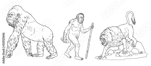 Prehistoric primates gigantopithecus, dinopithecus and australopithecus. Ancestors of humans for coloring book. photo