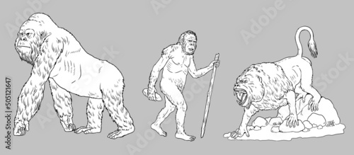 Prehistoric primates gigantopithecus, dinopithecus and australopithecus. Ancestors of humans for coloring book.	 photo