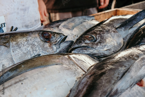 fresh tuna at a market