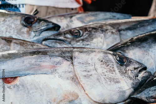 Close up of fresh tuna fish. photo