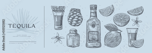 Set of hand-drawn ingredients for tequila. Tequila bottle, lime, blue agave, salt, shot glass. Retro picture for the menu of restaurants, shops. Vector illustration in engraving style.