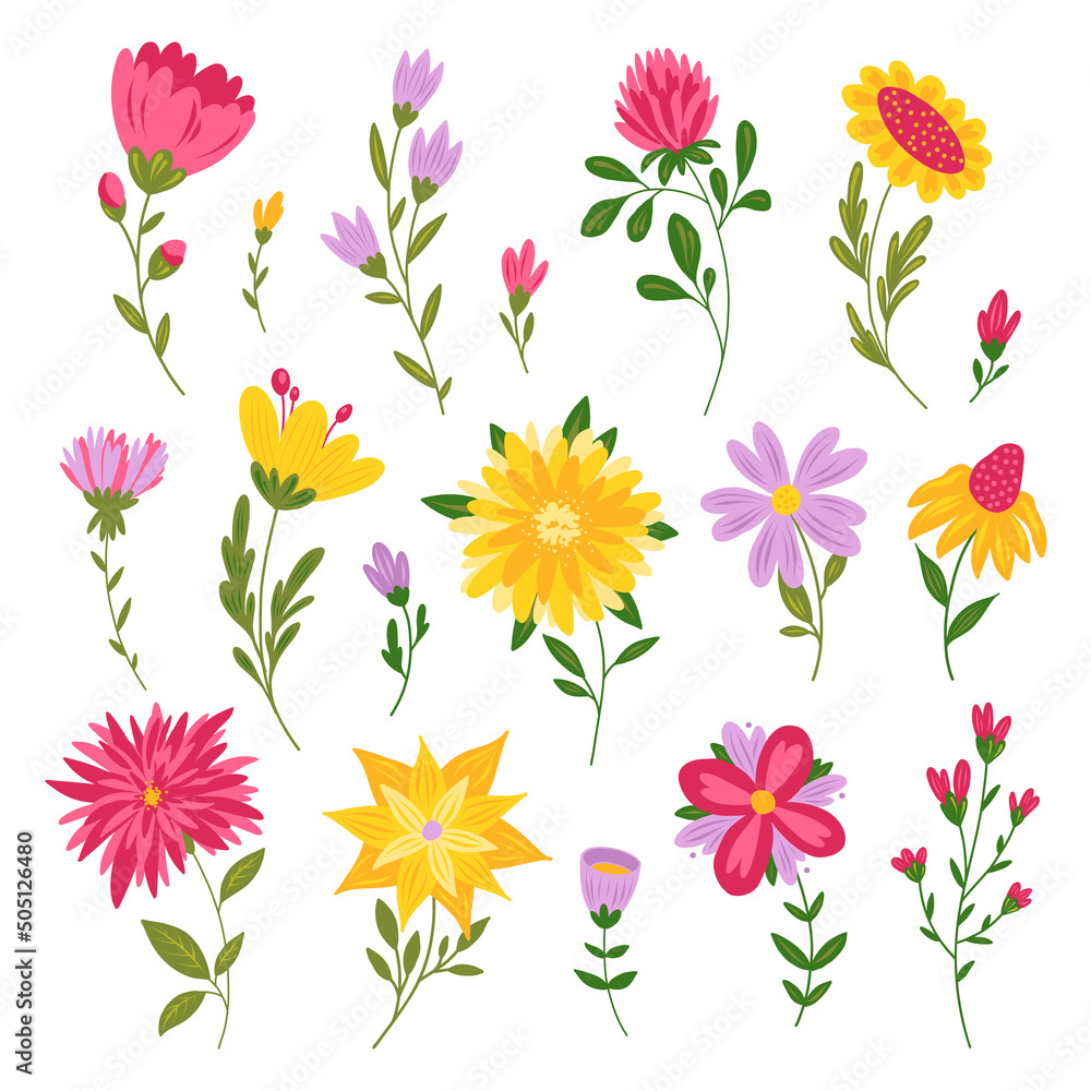 Handsketched collection of spring and summer abstract stylized flowers. Modern floral illustration, botanical clipart. Flourish design elements. Spring mood, summer vibe.